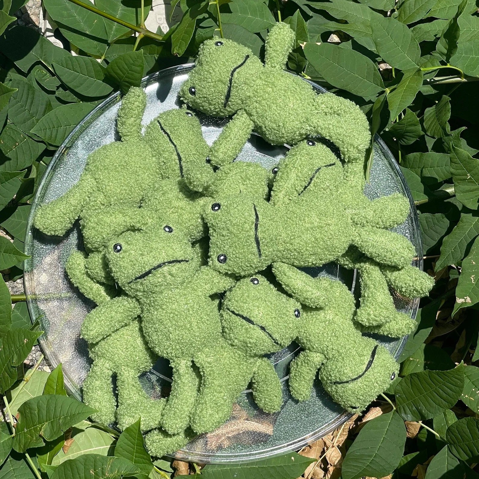 Catnip Infused Durable Cat Toy