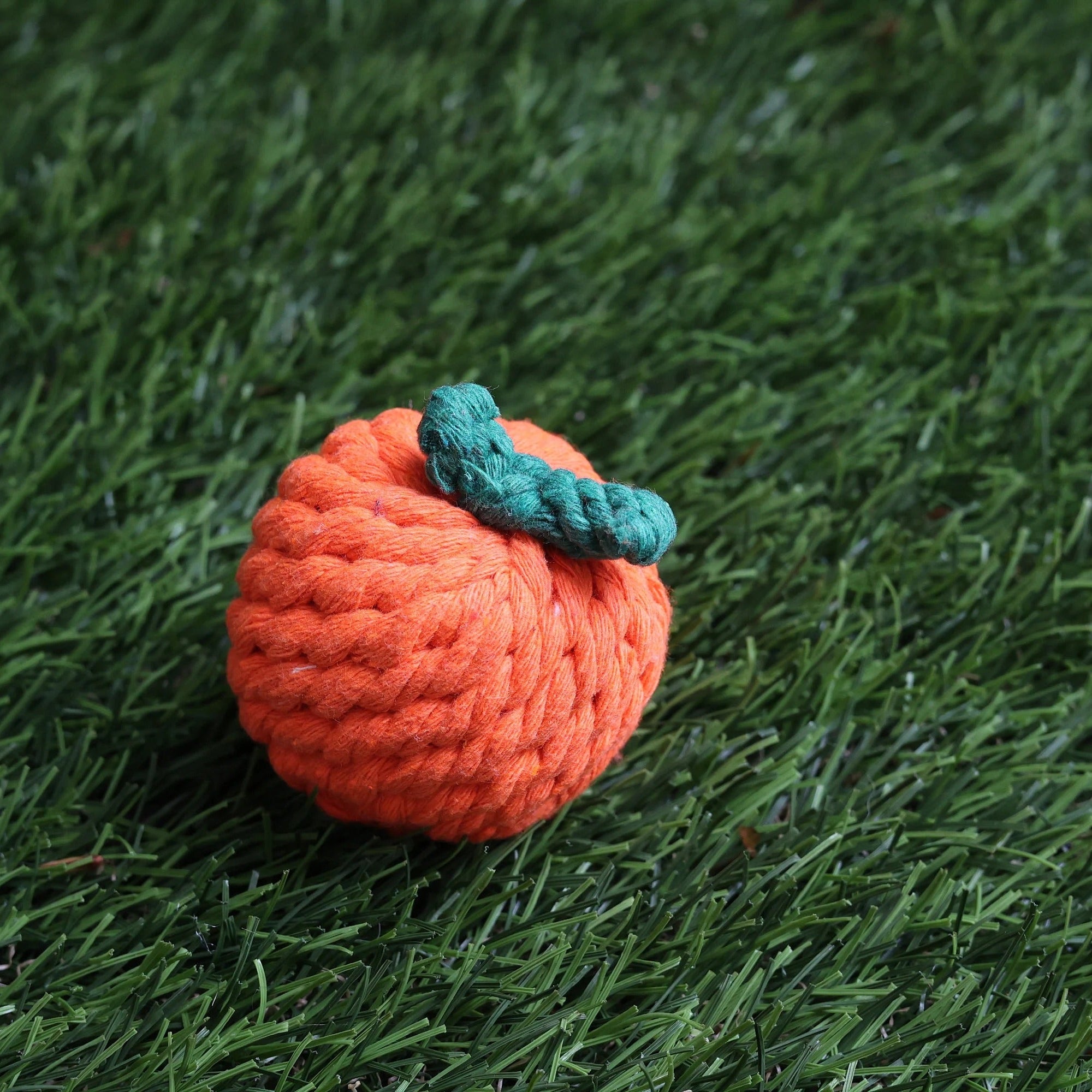 Dog Rope Teething Toy