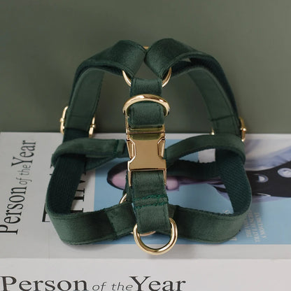 Custom Engraved Dog Harness for Small Breeds