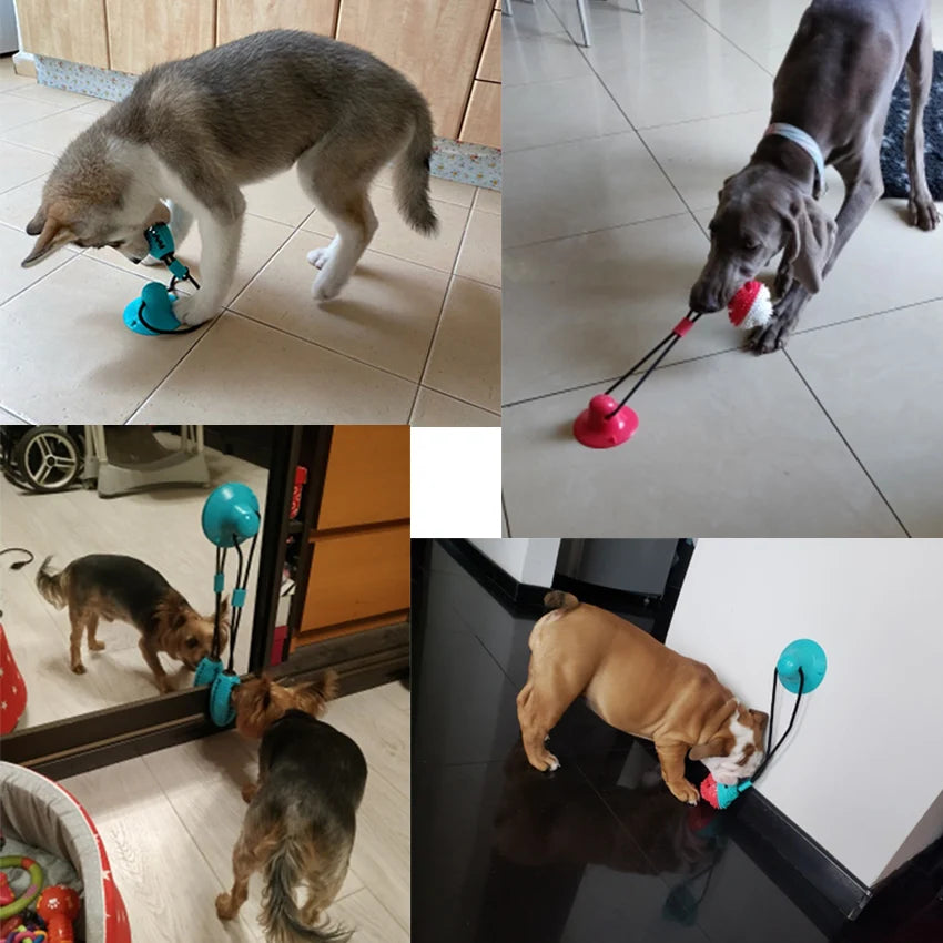 Silicon Suction Cup Interactive Dog Toy