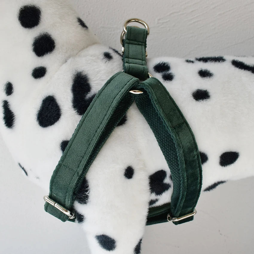 Custom Engraved Dog Harness for Small Breeds