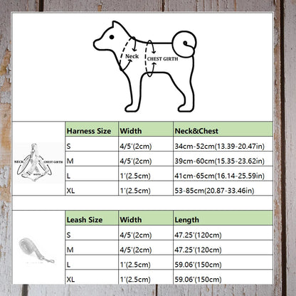 Custom Engraved Dog Harness for Small Breeds