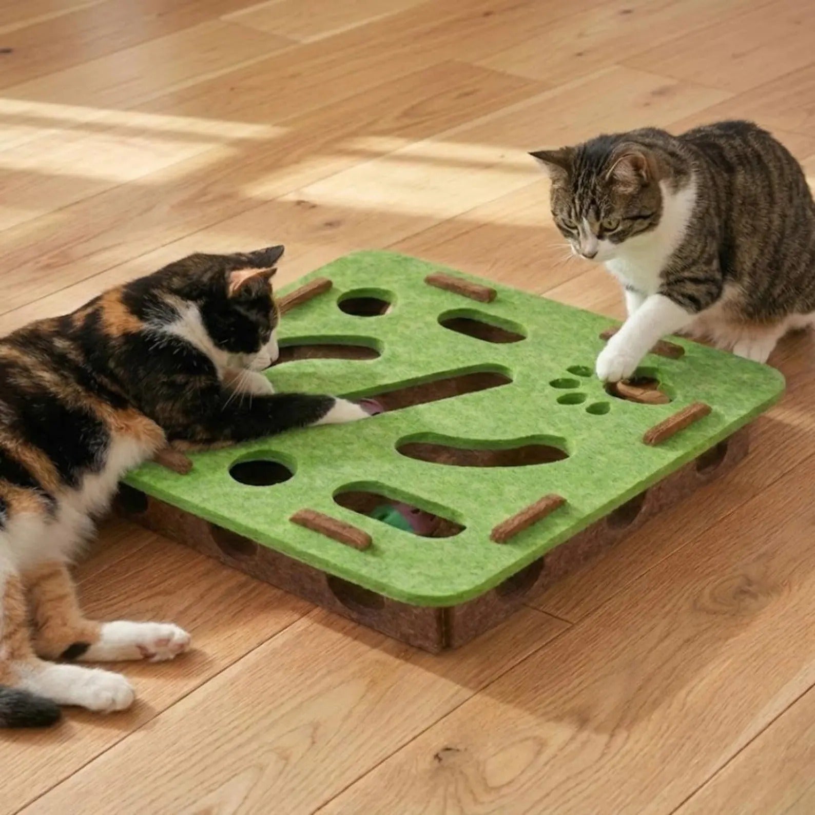 Lnteractive Puzzle Toys For Cats