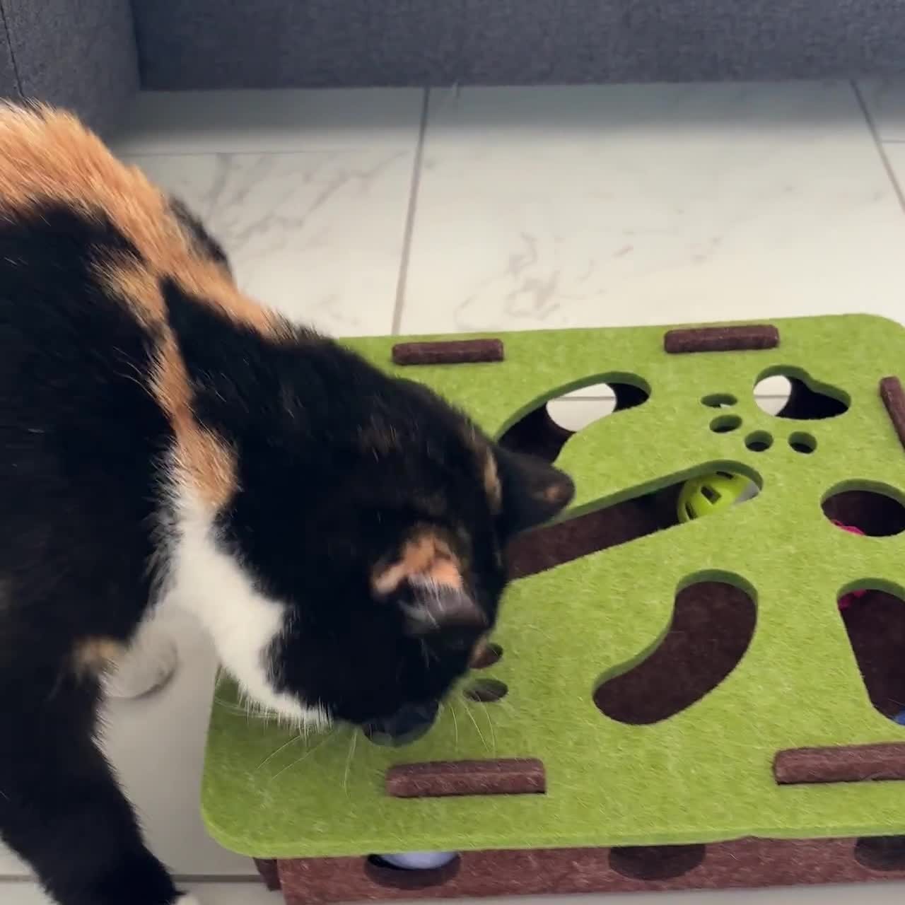 Lnteractive Puzzle Toys For Cats