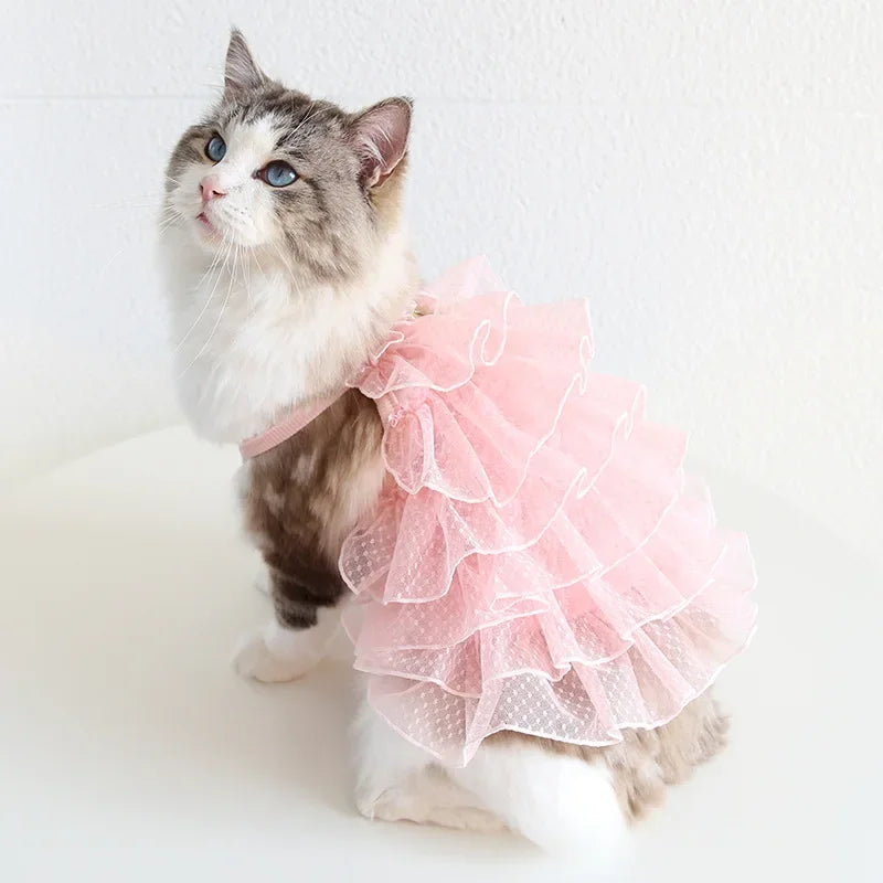 Cat Spring/summer Dress Full of Star Wedding Sweet Dog Pet Dress Cat Dress