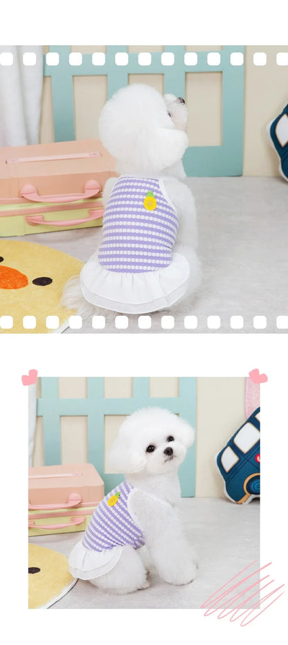 Pet Clothes Kitten Puppy Teddy Bear Pomeranian Dog Clothes Summer Thin Breathable Princess Dress