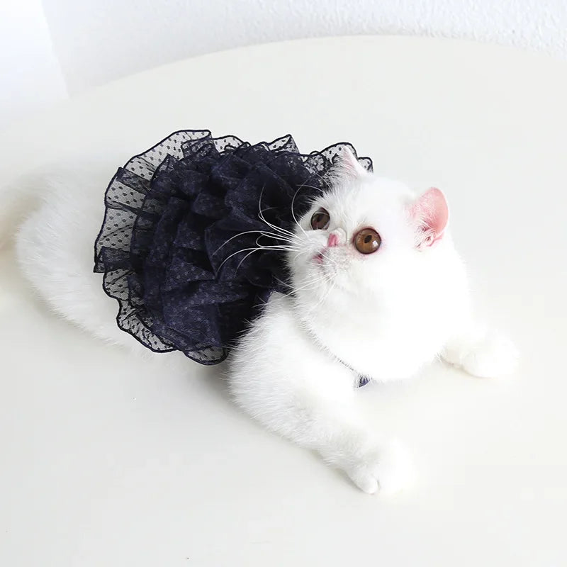 Cat Spring/summer Dress Full of Star Wedding Sweet Dog Pet Dress Cat Dress