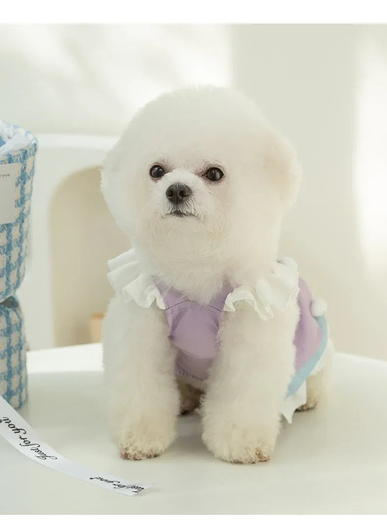 Cute Dog Clothes Small Dog Teddy Bichon Bear Princess Wind Cake Dress Child Summer Vest Pet Clothes