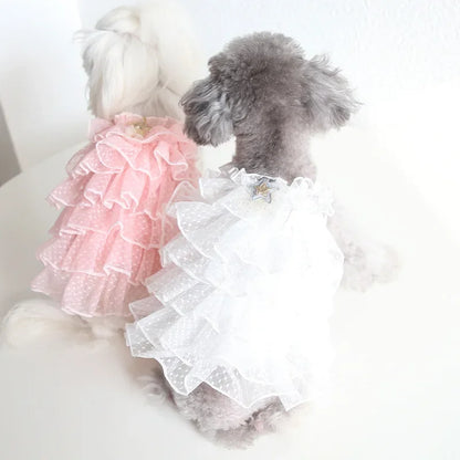 Cat Spring/summer Dress Full of Star Wedding Sweet Dog Pet Dress Cat Dress