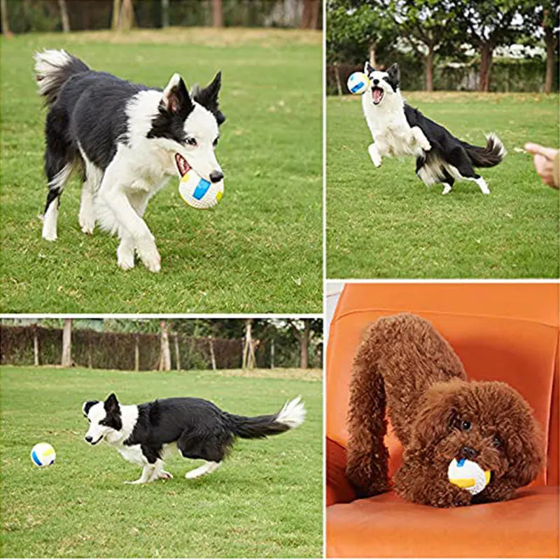 Durable Latex Squeaky Dog Toy Ball