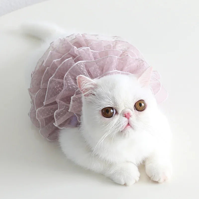 Cat Spring/summer Dress Full of Star Wedding Sweet Dog Pet Dress Cat Dress