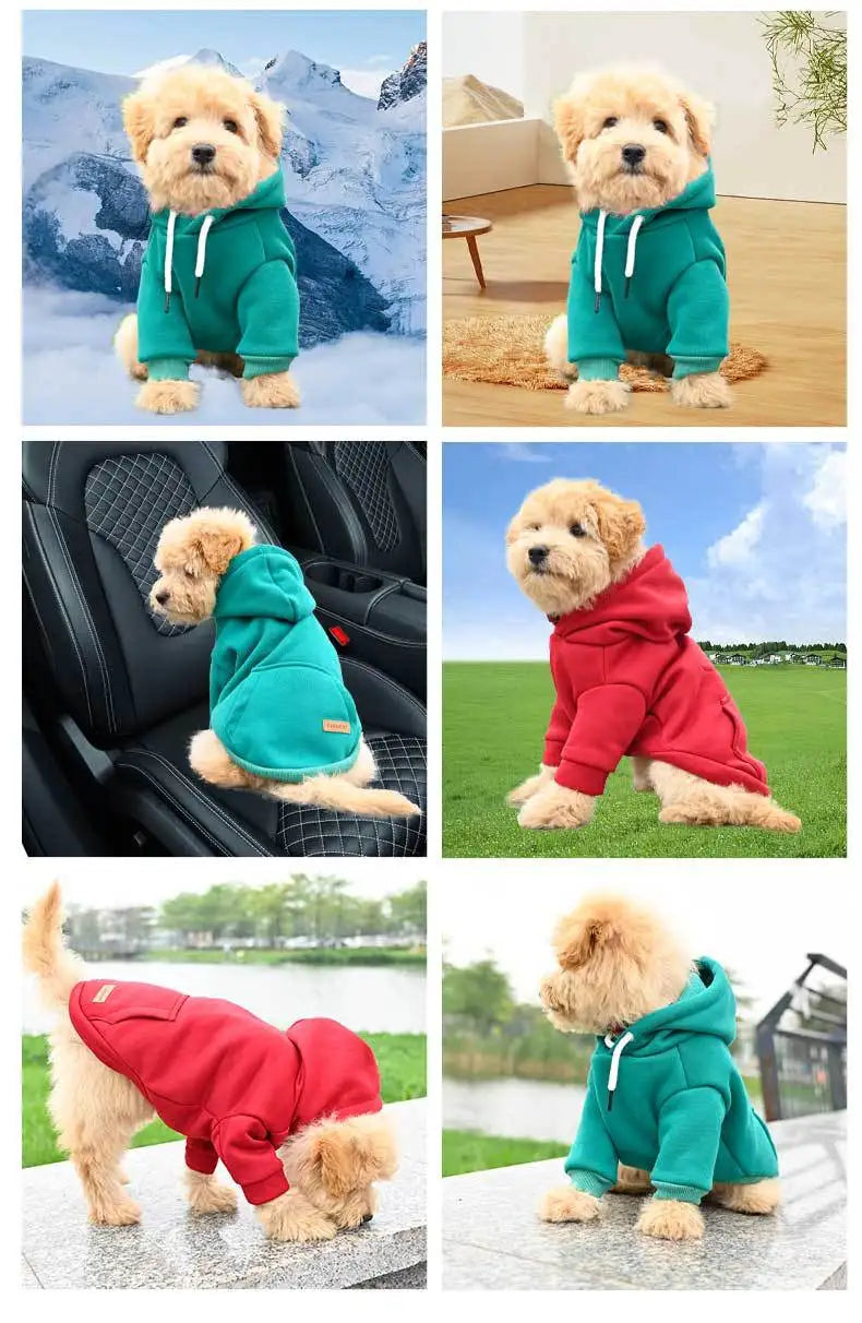 Dog Clothes Pet Dog Hoodie Small And Medium Dog Vest Outdoor Sweatshirt Bulldog Husky Warm Fleece Pet Clothing Puppy Cat Costume