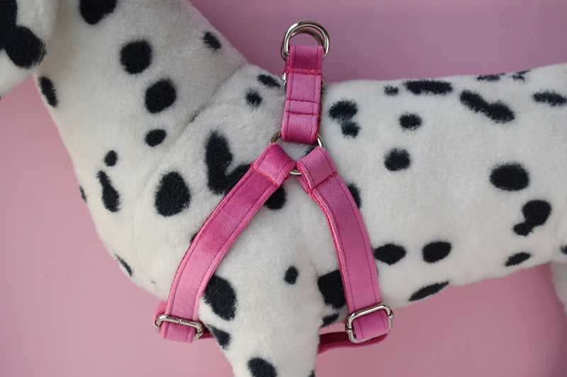 Comfortable Dog Collar and Leash Set - Ideal for Daily Walks and Training