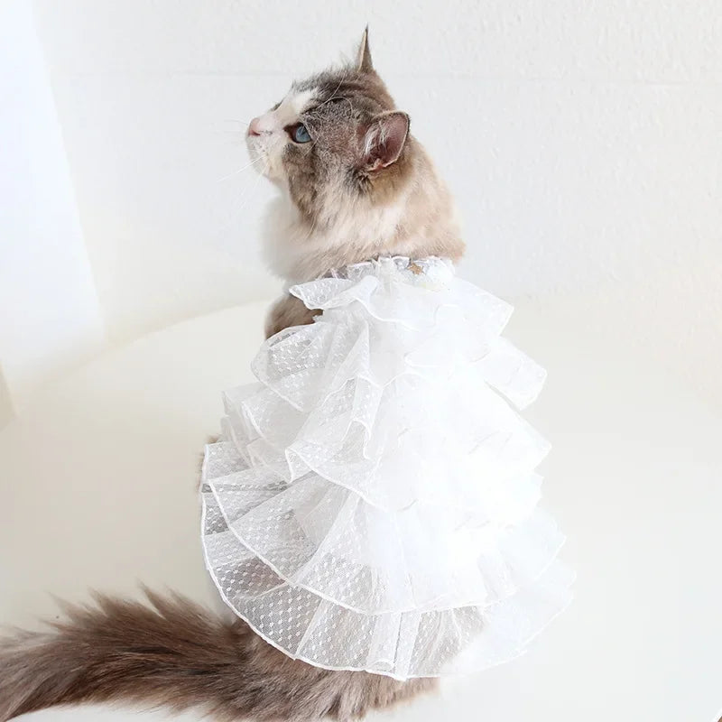 Cat Spring/summer Dress Full of Star Wedding Sweet Dog Pet Dress Cat Dress