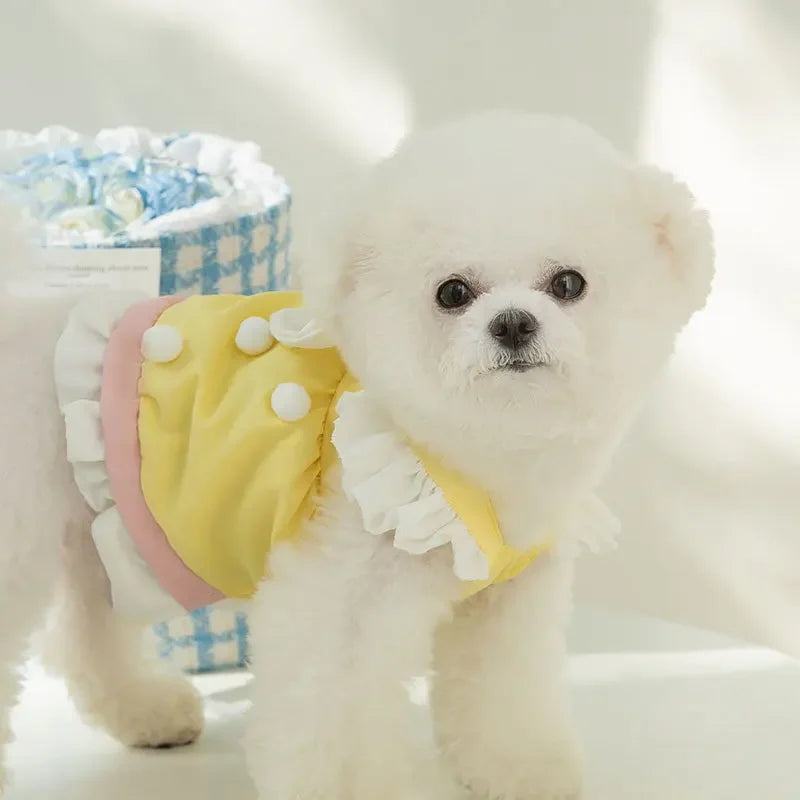 Cute Dog Clothes Small Dog Teddy Bichon Bear Princess Wind Cake Dress Child Summer Vest Pet Clothes