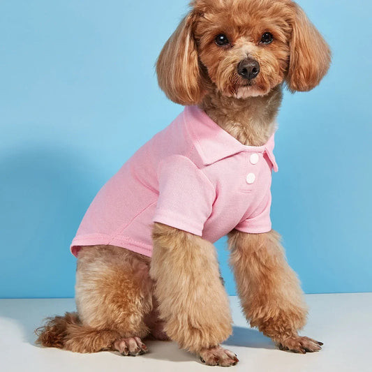 2024 New Dog Clothes Summer New POLO Dog T-shirt Casual Cat Dog Pet General Short-sleeved Shirt