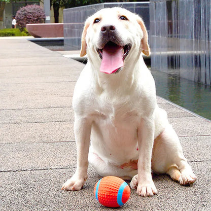 Durable Latex Squeaky Dog Toy Ball