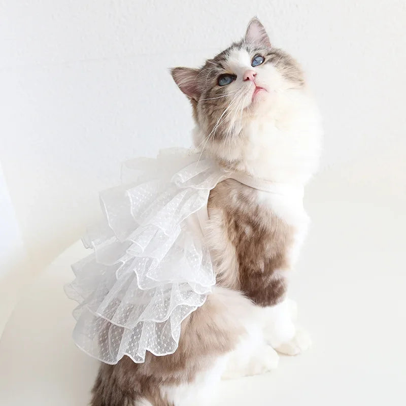 Cat Spring/summer Dress Full of Star Wedding Sweet Dog Pet Dress Cat Dress