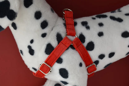 Adjustable Red Nylon Dog Harness - Comfortable Fit for Active Dogs