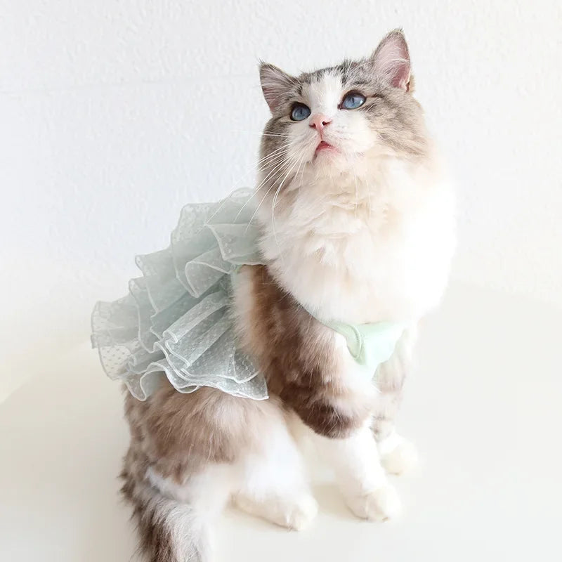 Cat Spring/summer Dress Full of Star Wedding Sweet Dog Pet Dress Cat Dress