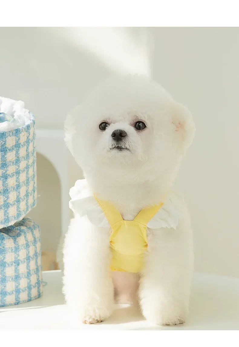 Cute Dog Clothes Small Dog Teddy Bichon Bear Princess Wind Cake Dress Child Summer Vest Pet Clothes