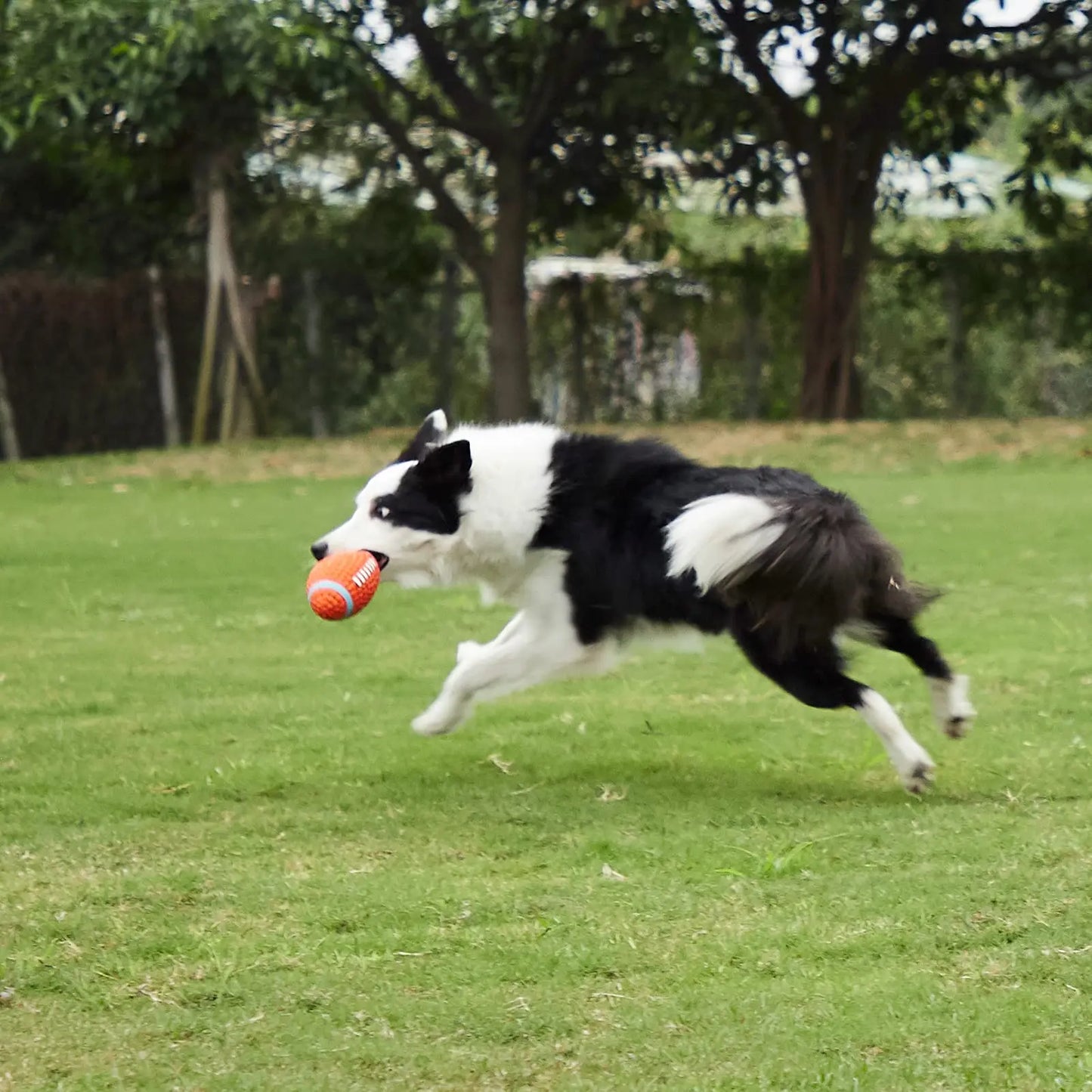 Durable Latex Squeaky Dog Toy Ball