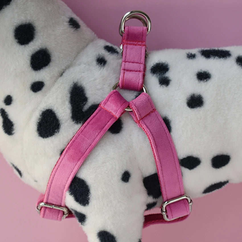 Comfortable Dog Collar and Leash Set - Ideal for Daily Walks and Training