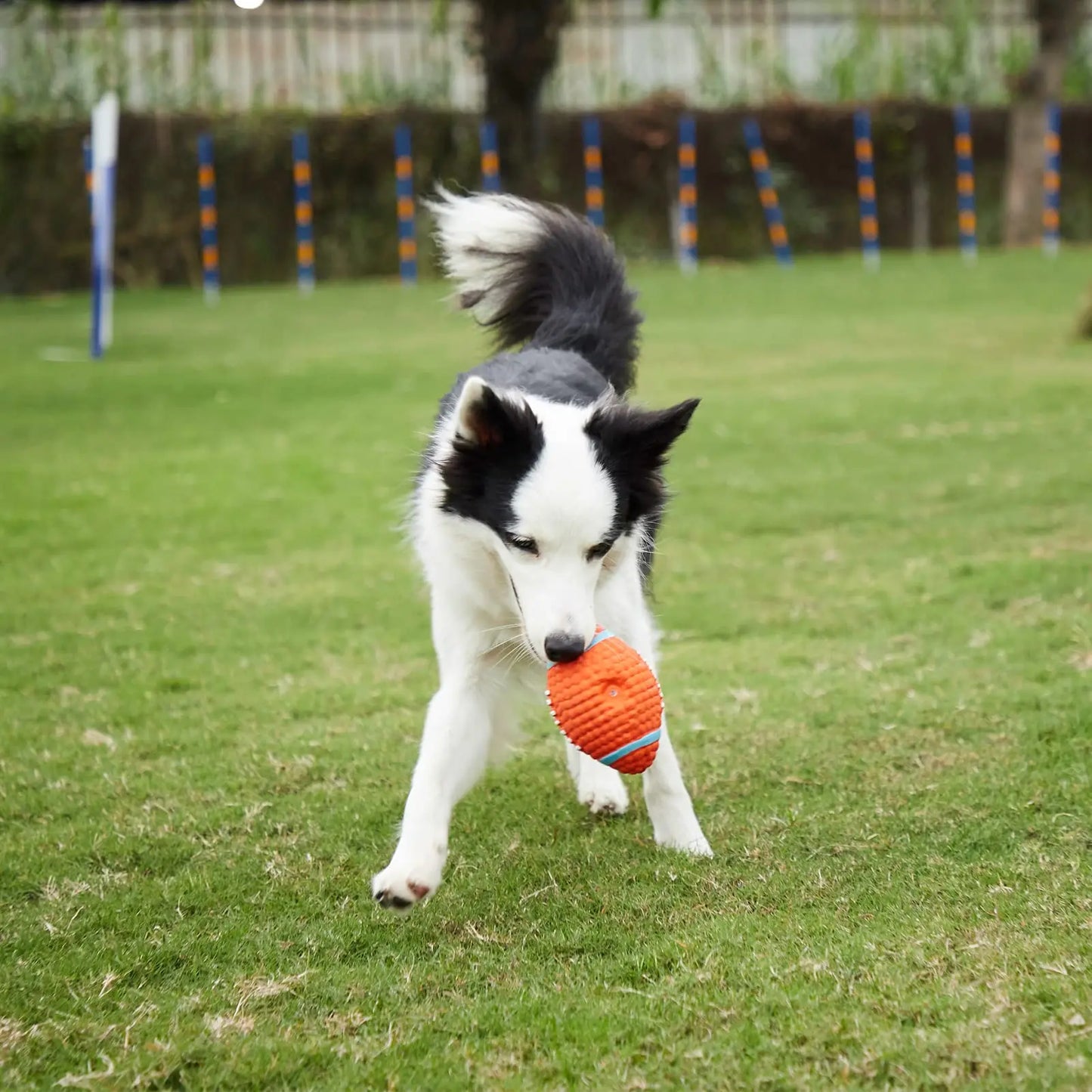 Durable Latex Squeaky Dog Toy Ball