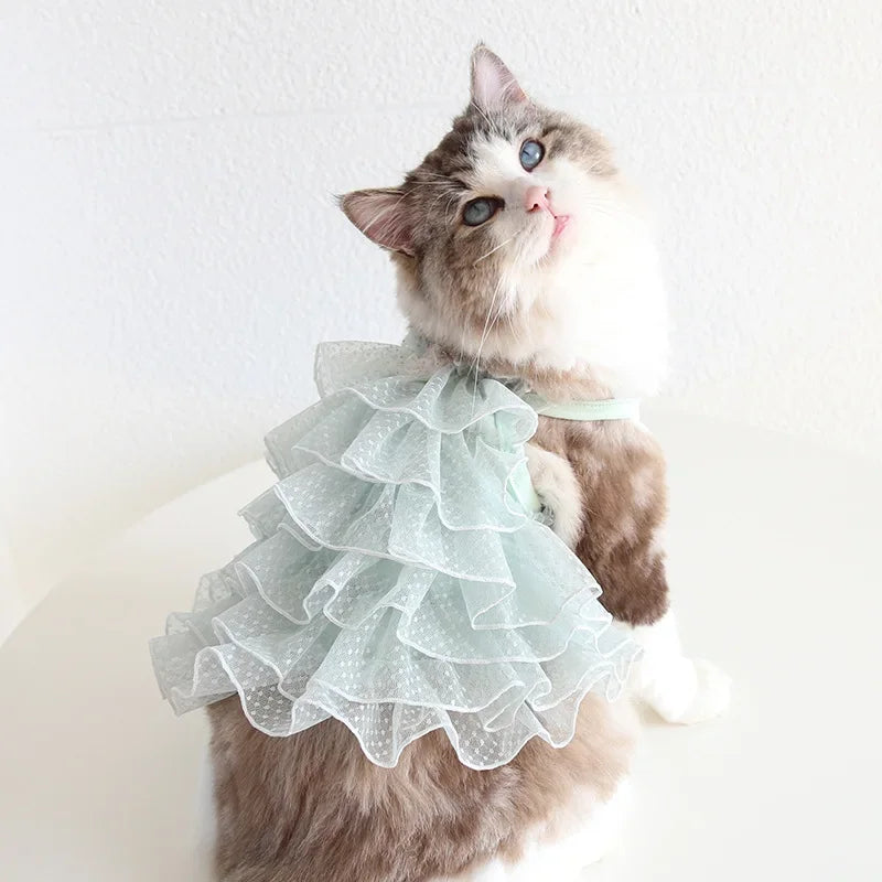 Cat Spring/summer Dress Full of Star Wedding Sweet Dog Pet Dress Cat Dress