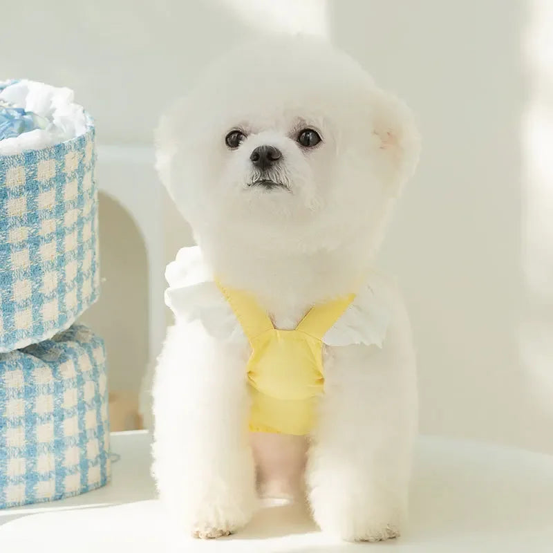 Cute Dog Clothes Small Dog Teddy Bichon Bear Princess Wind Cake Dress Child Summer Vest Pet Clothes