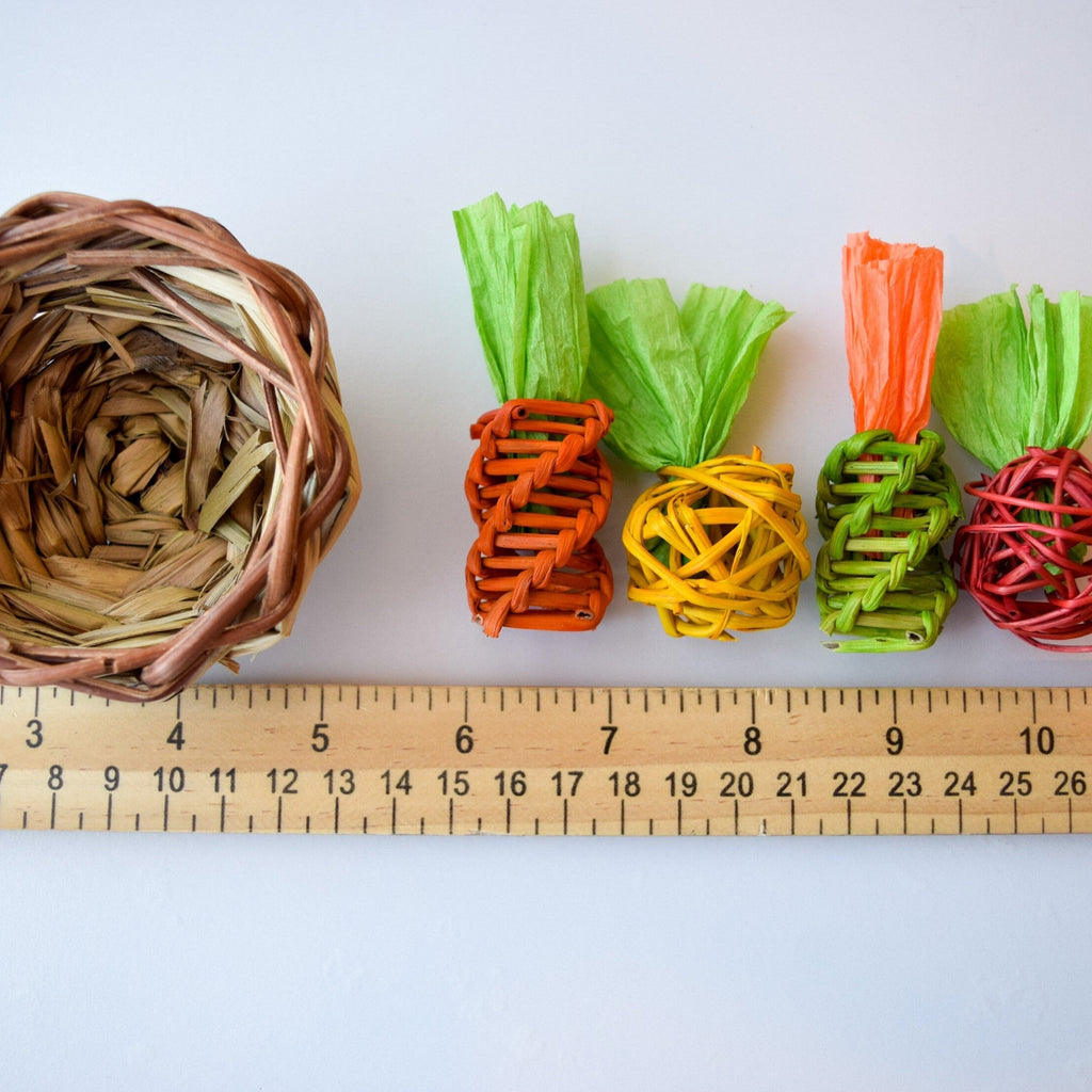 Small Pet Teething and Puzzle Toy