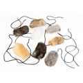 Specialized Tools For Dog Attention Training
