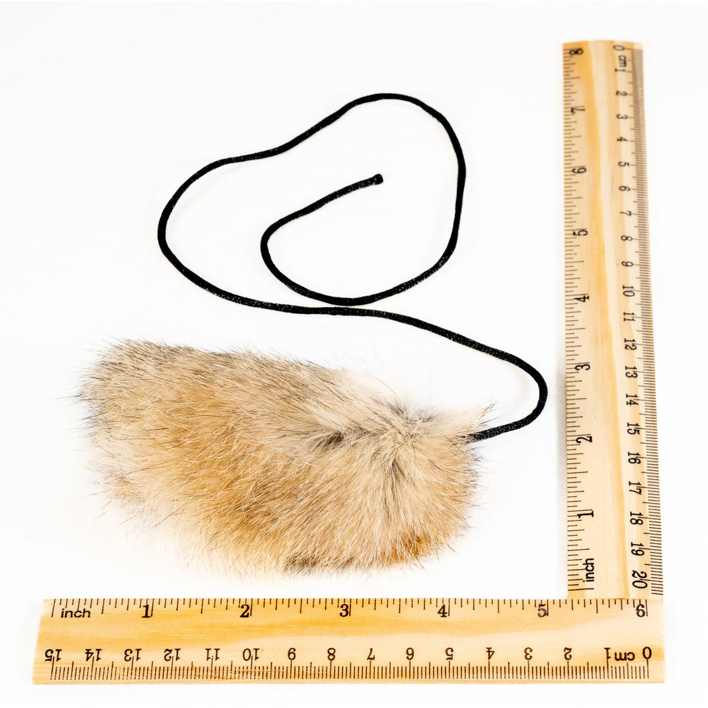 Specialized Tools For Dog Attention Training
